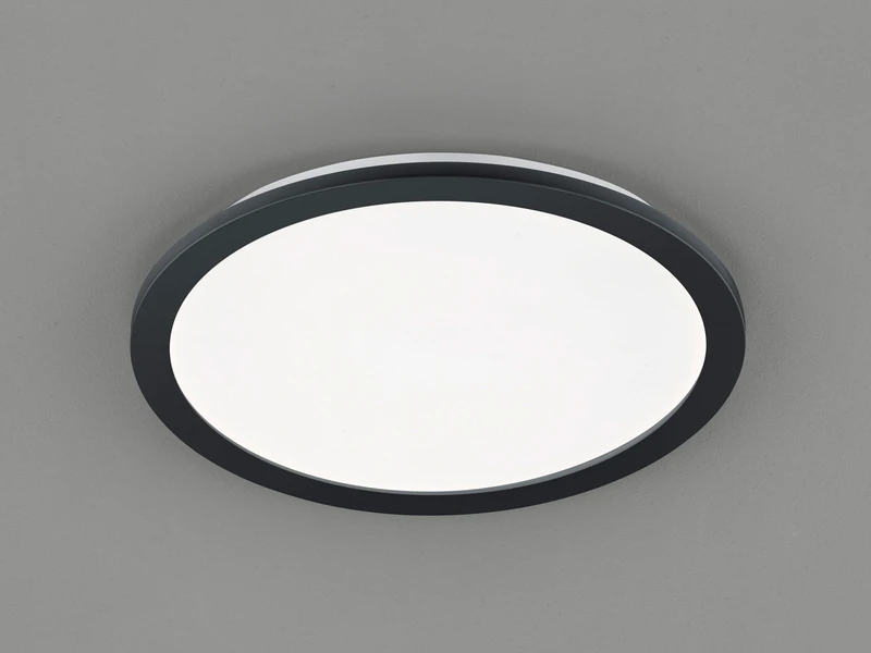 Reality Leuchten Dimmbare LED Deckenleuchte CAMILLUS Flache Badezimmerlampe Ø40cm Schwarz IP44 1 Reality Leuchten Dimmbare LED Deckenleuchte CAMILLUS Flache Badezimmerlampe Ø40cm Schwarz IP44