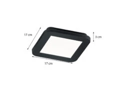 Reality Leuchten Dimmbare LED Deckenleuchte CAMILLUS Flache Badezimmerlampe 17x17cm Schwarz IP44 -Licht Verkoop dimmbare led deckenleuchte camillus flache badezim 62
