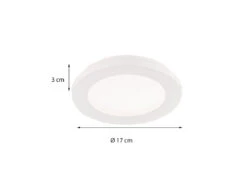 Reality Leuchten Kleine LED Deckenleuchte CAMILLUS Flache Badezimmerlampe Dimmbar Ø17cm Weiß IP44 9 Reality Leuchten Kleine LED Deckenleuchte CAMILLUS Flache Badezimmerlampe Dimmbar Ø17cm Weiß IP44 -Licht Verkoop kleine led deckenleuchte camillus flache badezimme 2