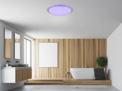 Trio Leuchten LED Deckenleuchte FRODENO Fernbedienung Dimmbar Sternenhimmel Farbwechsel Ø35cm -Licht Verkoop led deckenleuchte frodeno fernbedienung dimmbar st 5