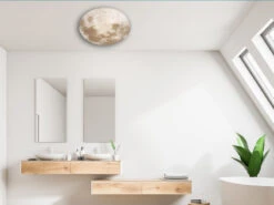 Reality Leuchten LED Deckenleuchte MOONIKA Mondcover In Weiß Ø37cm, IP44 Badlampe -Licht Verkoop led deckenleuchte moonika mondcover in weiss 37cm 1 6
